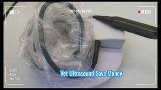 Sonde à ultrasons vétérinaire Mindray 75L50EAV